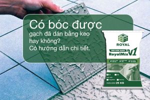 Có bóc được gạch đã dán bằng keo không (1)