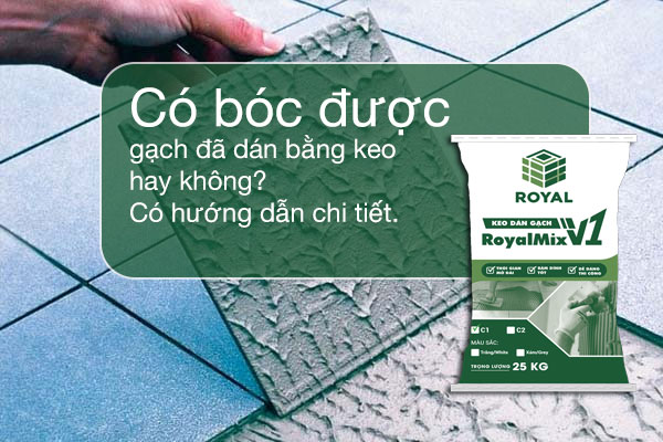 Có bóc được gạch đã dán bằng keo không (1)